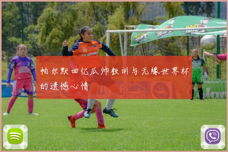 帕尔默回忆瓜帅教训与无缘世界杯的遗憾心情