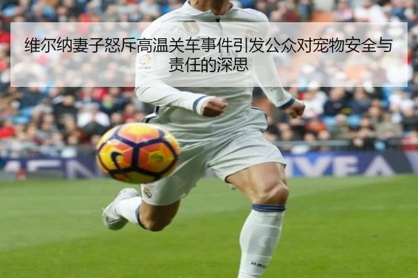 维尔纳妻子怒斥高温关车事件引发公众对宠物安全与责任的深思
